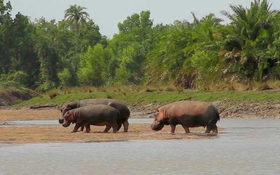 Saadan National Park