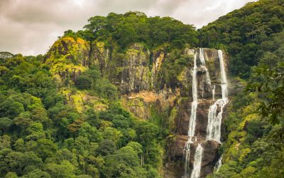 Udzungwa Mountains National Park