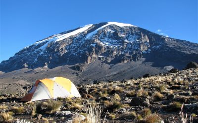 Best time to go for Kilimanjaro climbing and safari