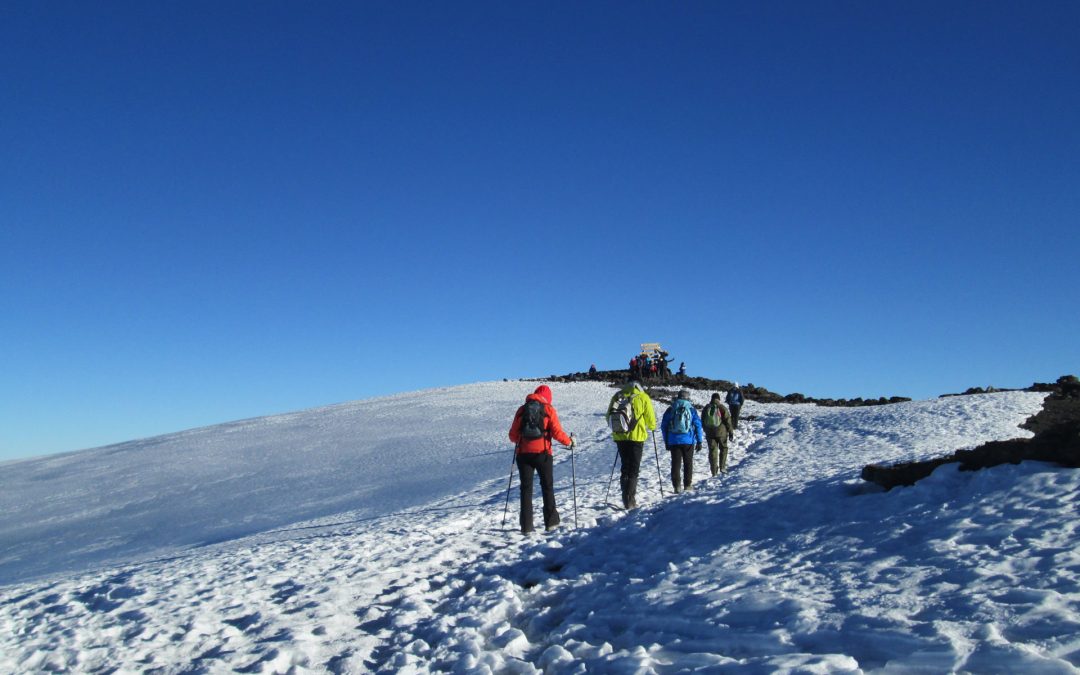 Kilimanjaro Climbing Adventure, Rongai Route, 6 Days