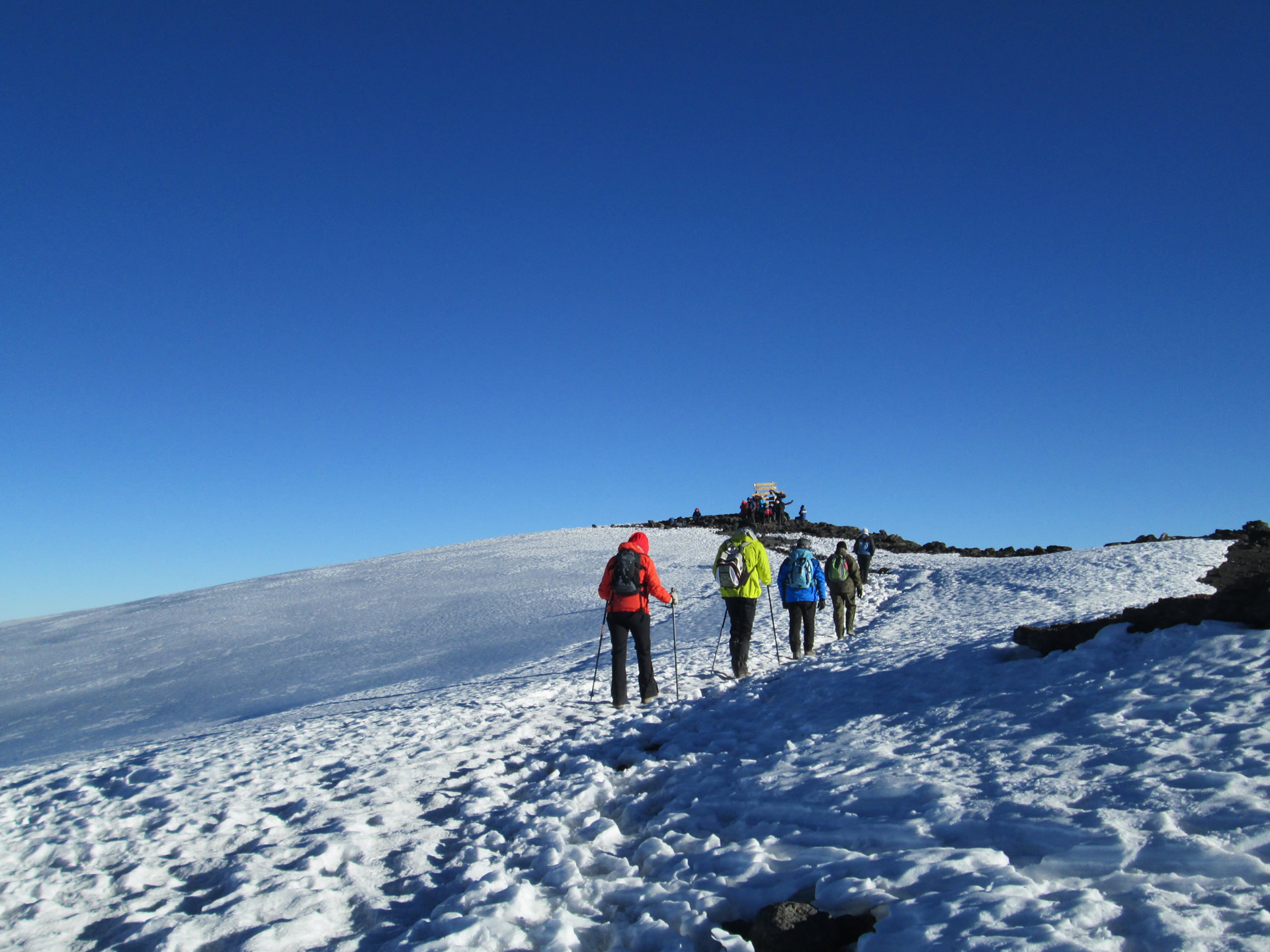 Rongai Route Kilimanjaro Climb