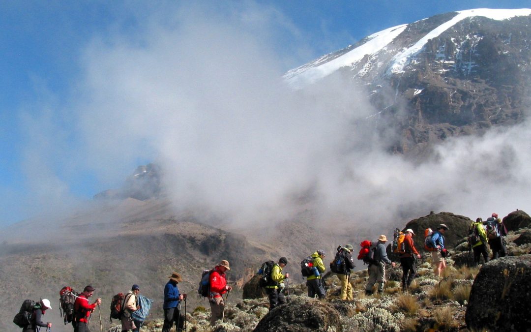 Kilimanjaro trekking, Lemosho Route, 7 days