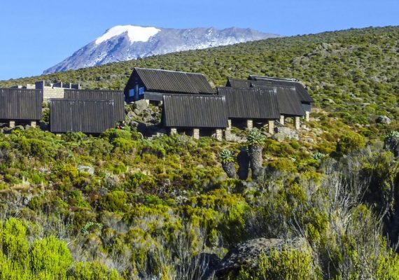 Visit Mount Kilimanjaro without climbing, fair trekking prices